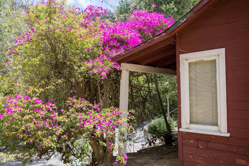 Historic Private Cabin interior